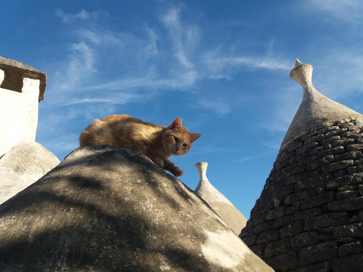 Trulli Di Puglia - Casa Vacanze In Valle D'Itria Martina Franca Extérieur photo